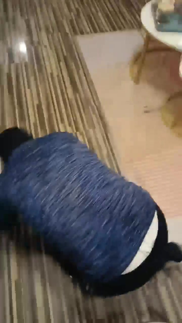 金桔小主 双00后讯39岁老狗