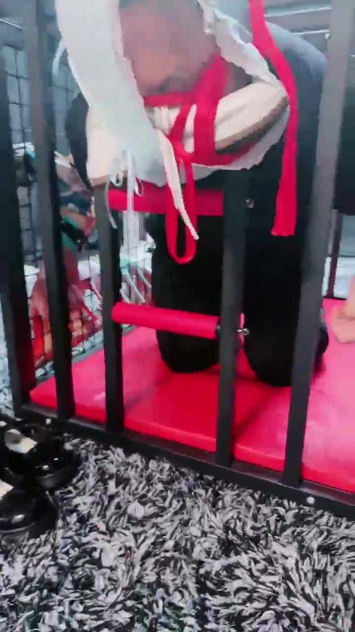 馨妍 笼子训练家奴