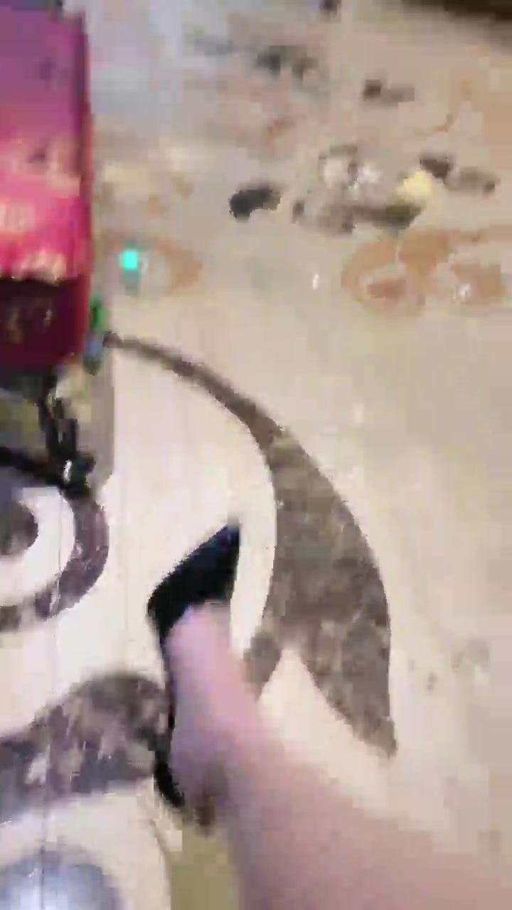 狗哥 圈内聚会实况