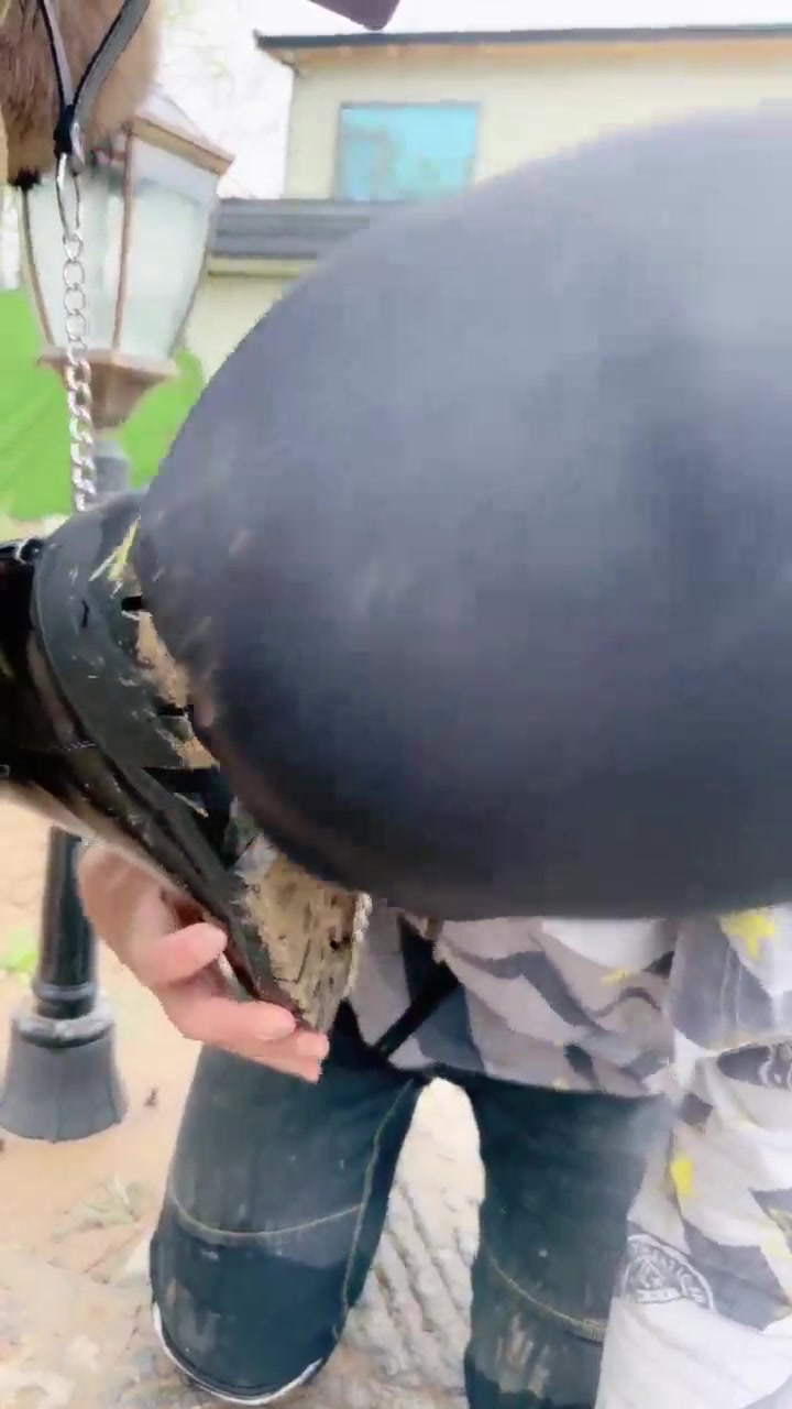 宸宸 遛狗 幸福生活