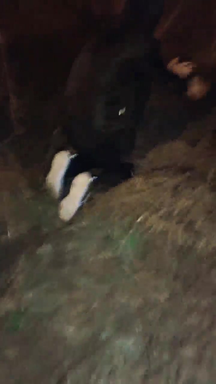 辣姐 凌晨户外 皮靴踢踹调教