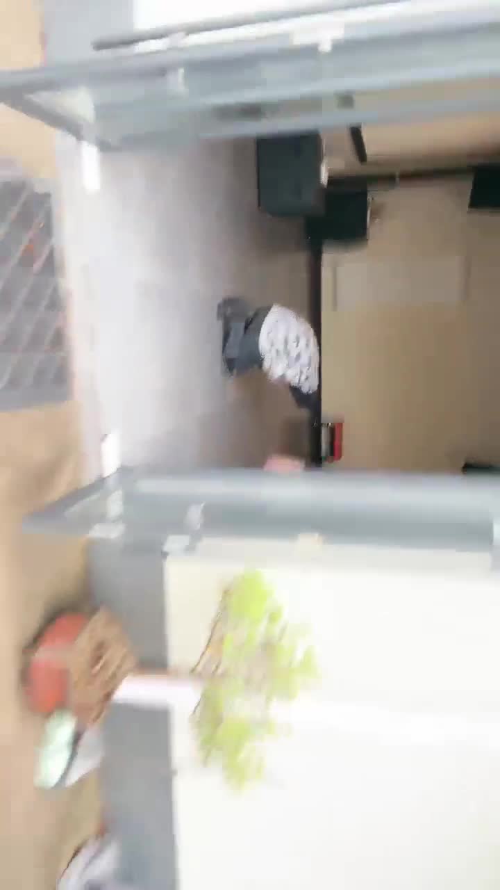 宸宸 户外皮靴 踢踹