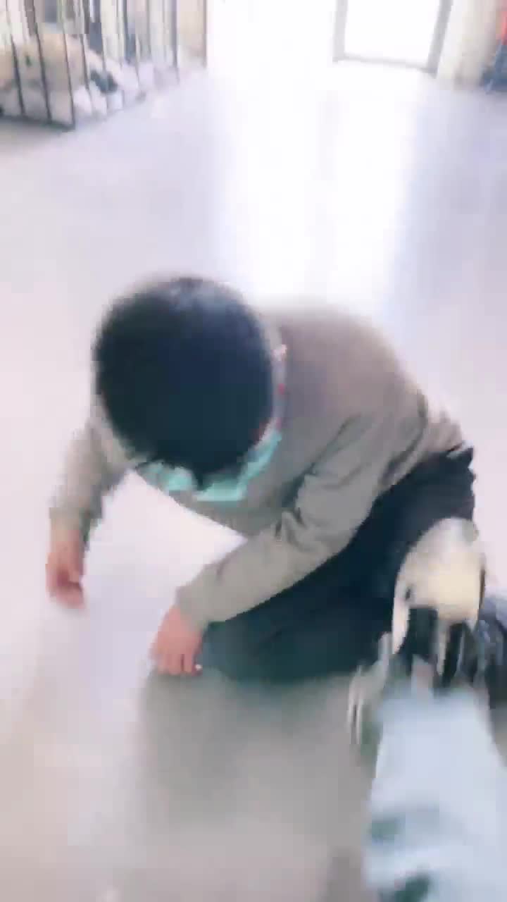 宫雪大大 圈养奴 吃鞋底