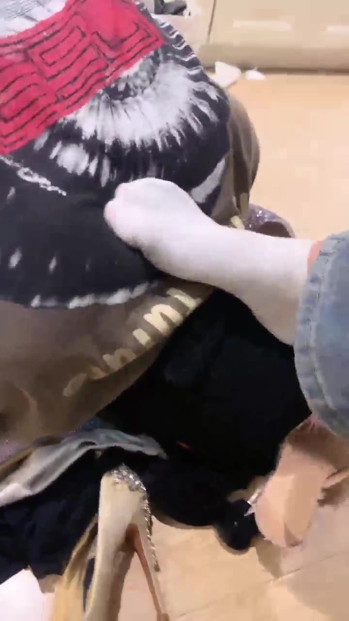 术术 挑战原味盛宴