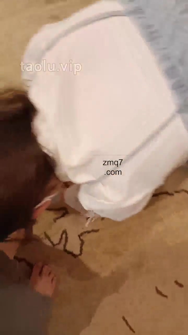 小可可 开发学姐当我的女仆2