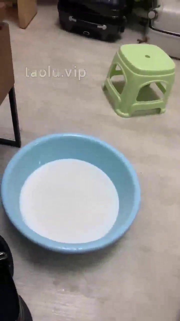 术术 上门护理女主人的玉足