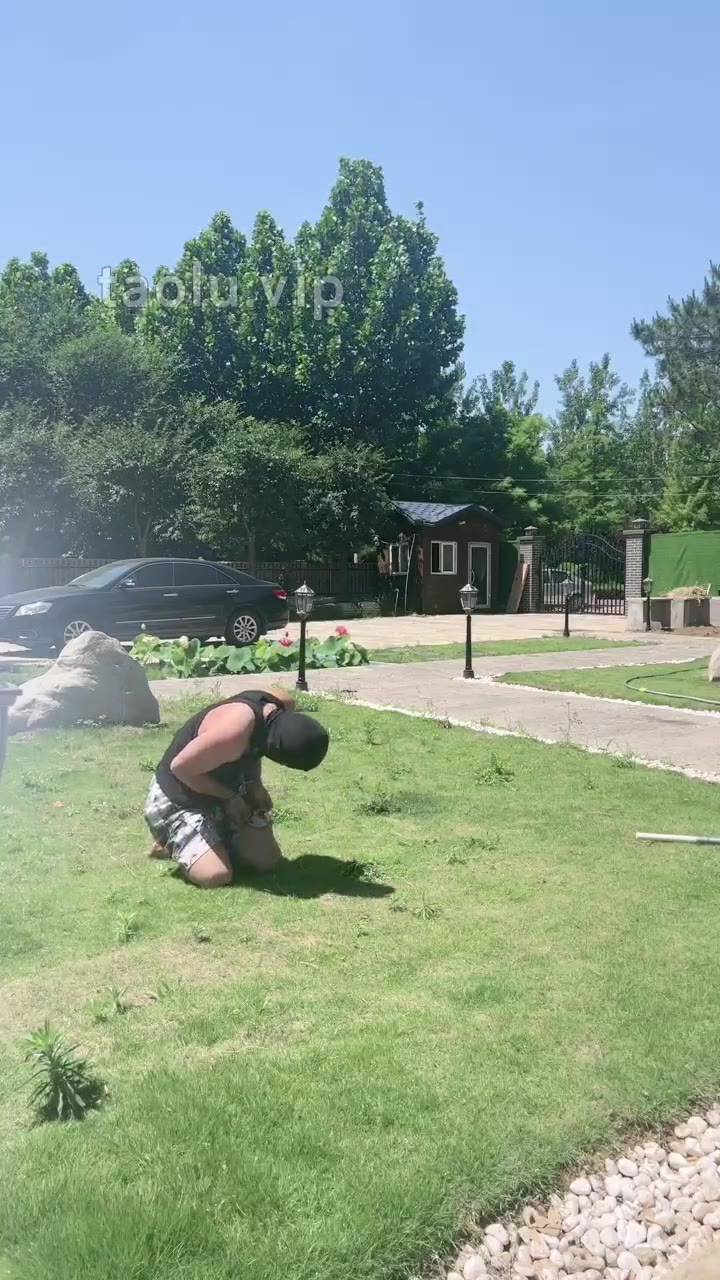 沅芷 狗畜就是用来打着玩的