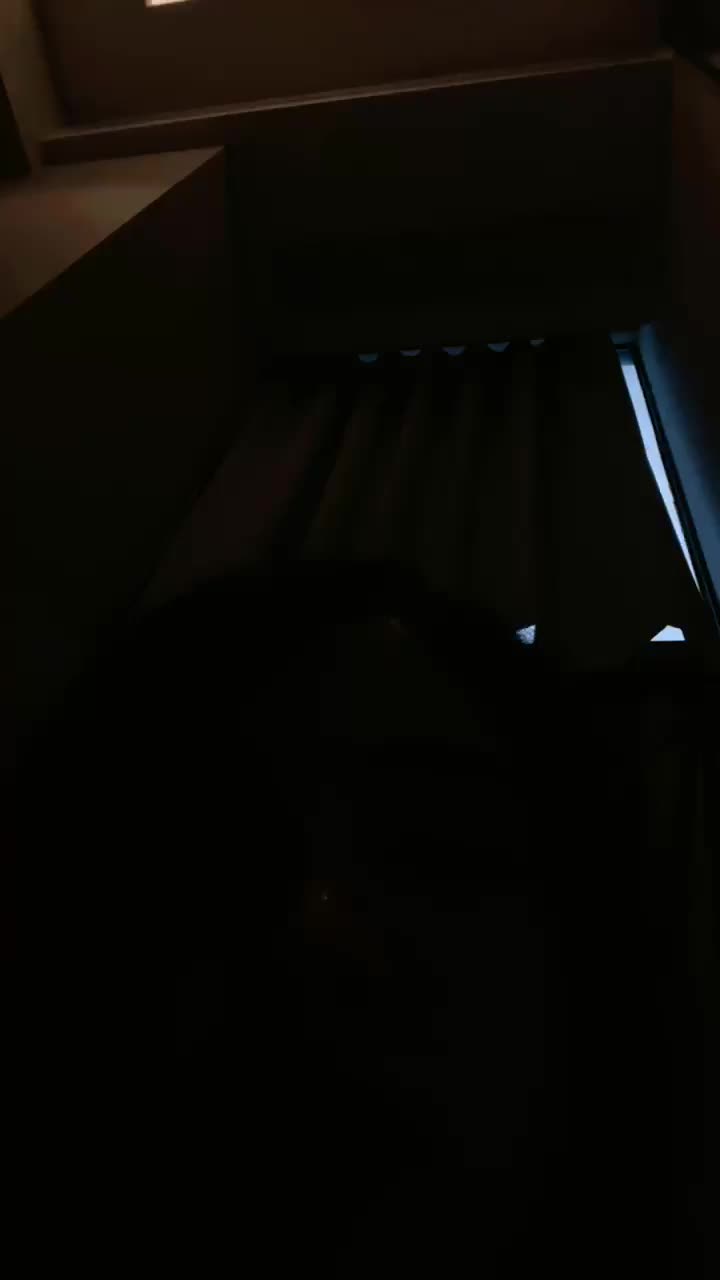 子琳 让狗喝掉女主人的洗脚水