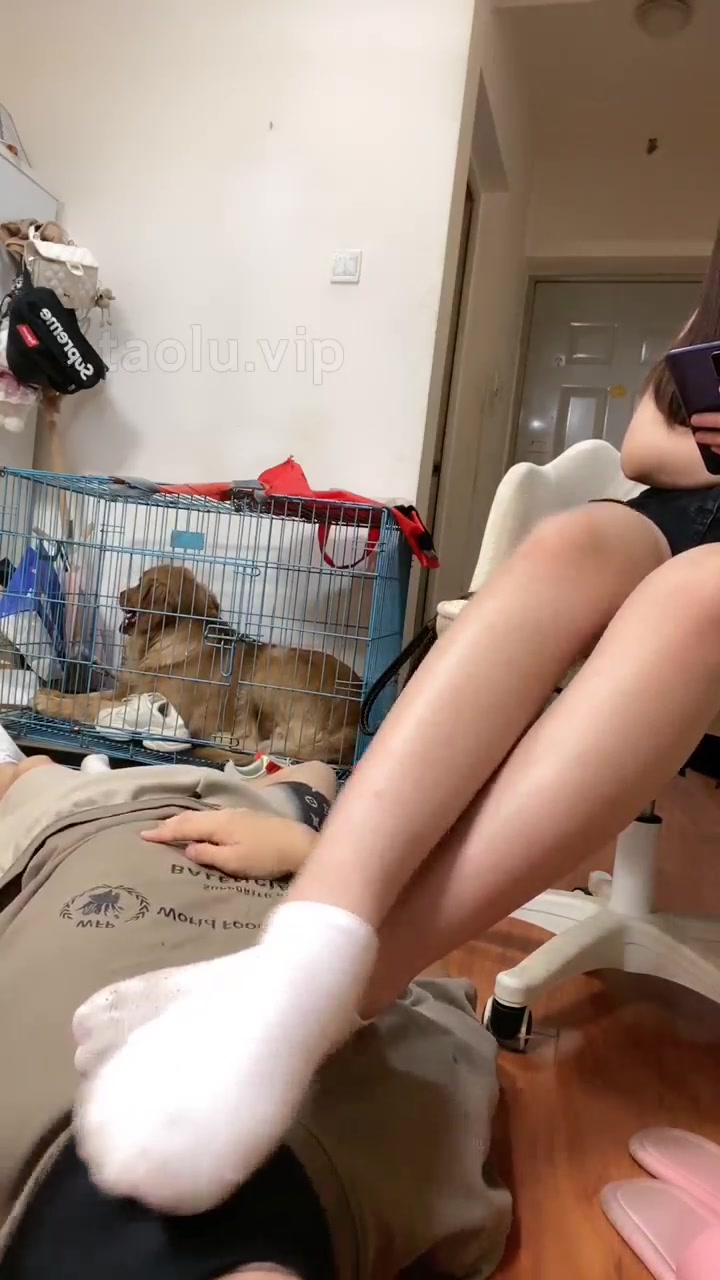 鬼鬼 贱货磕头认祖宗 被关起来调教