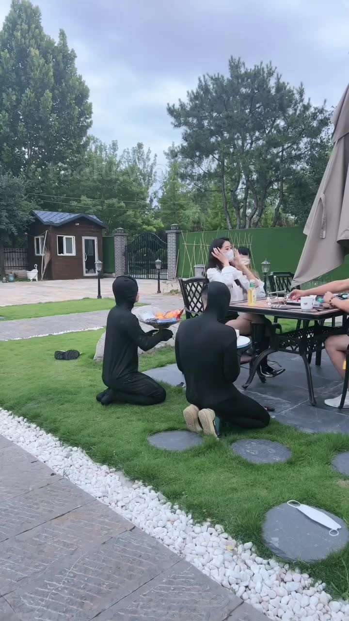 沅芷 家奴的正确使用方式
