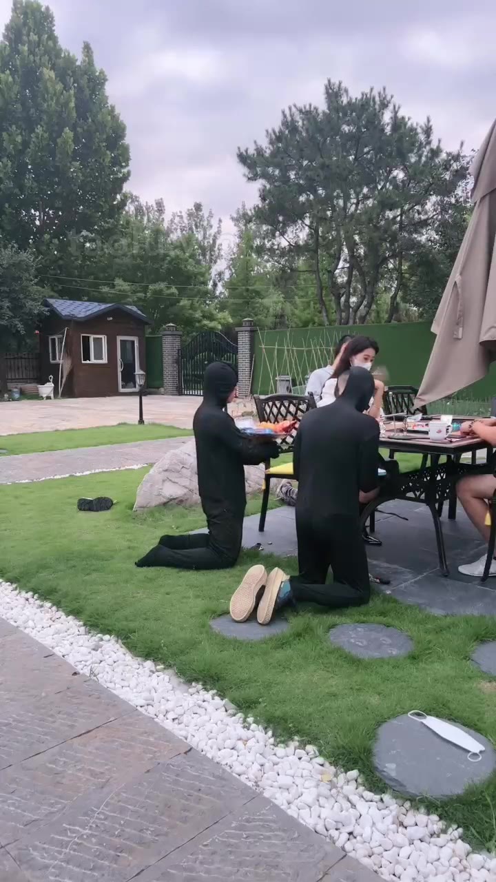 沅芷 家奴的正确使用方式