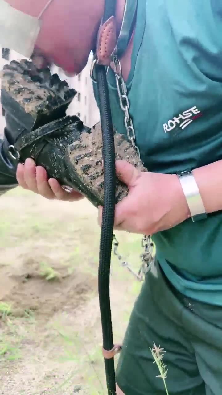 宸宸 户外调教 飞踹 强迫吃土