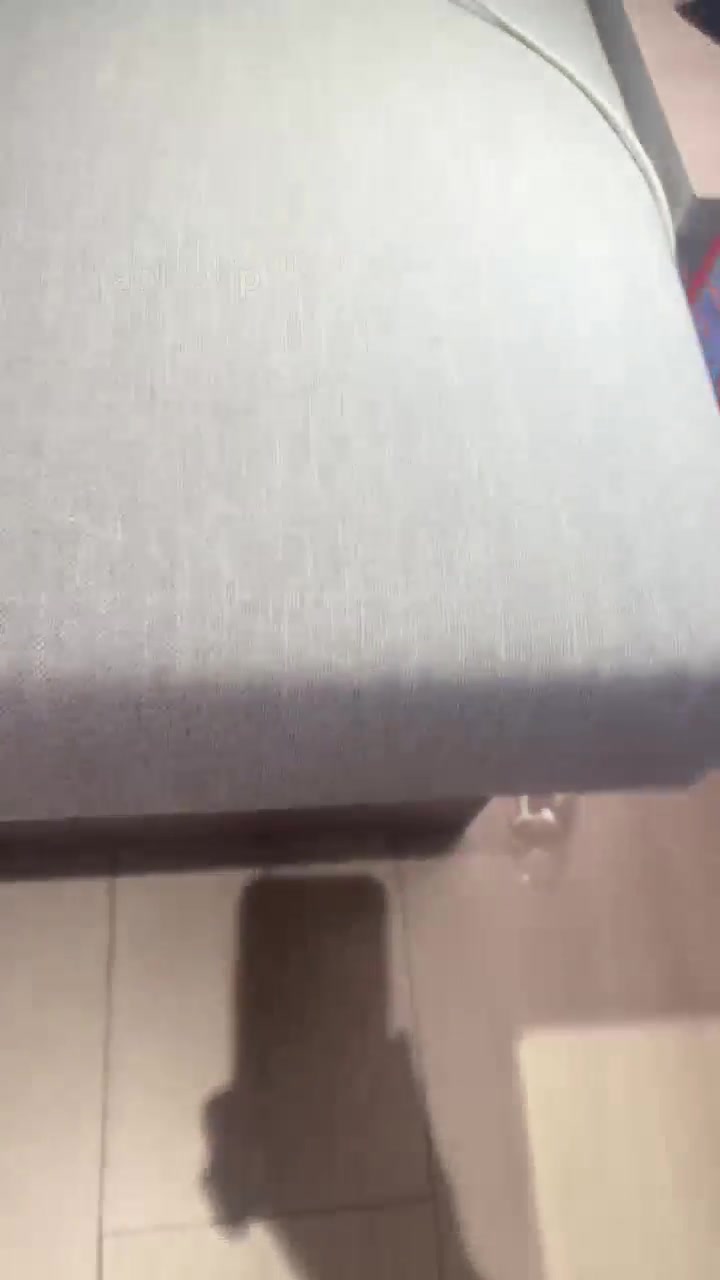 狗哥 崇拜女主人的大臭脚