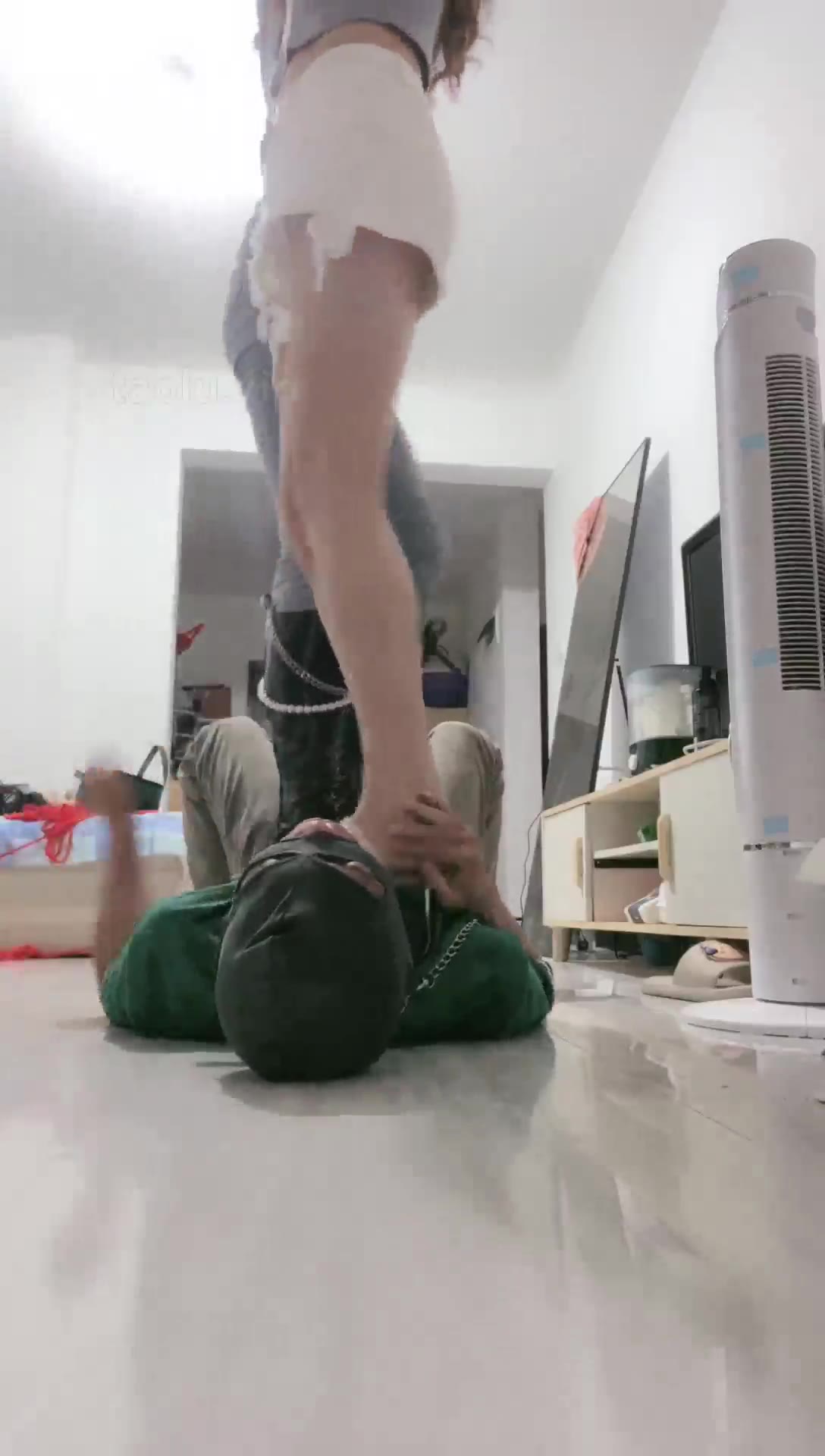 桃妖 老头儿挑战双S