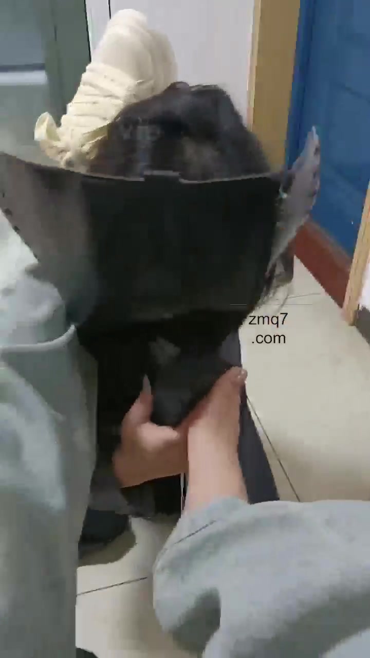爱可呀 开发一个新女奴