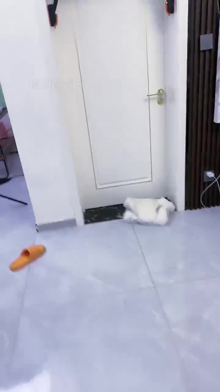 银儿 高难度的另类舞蹈