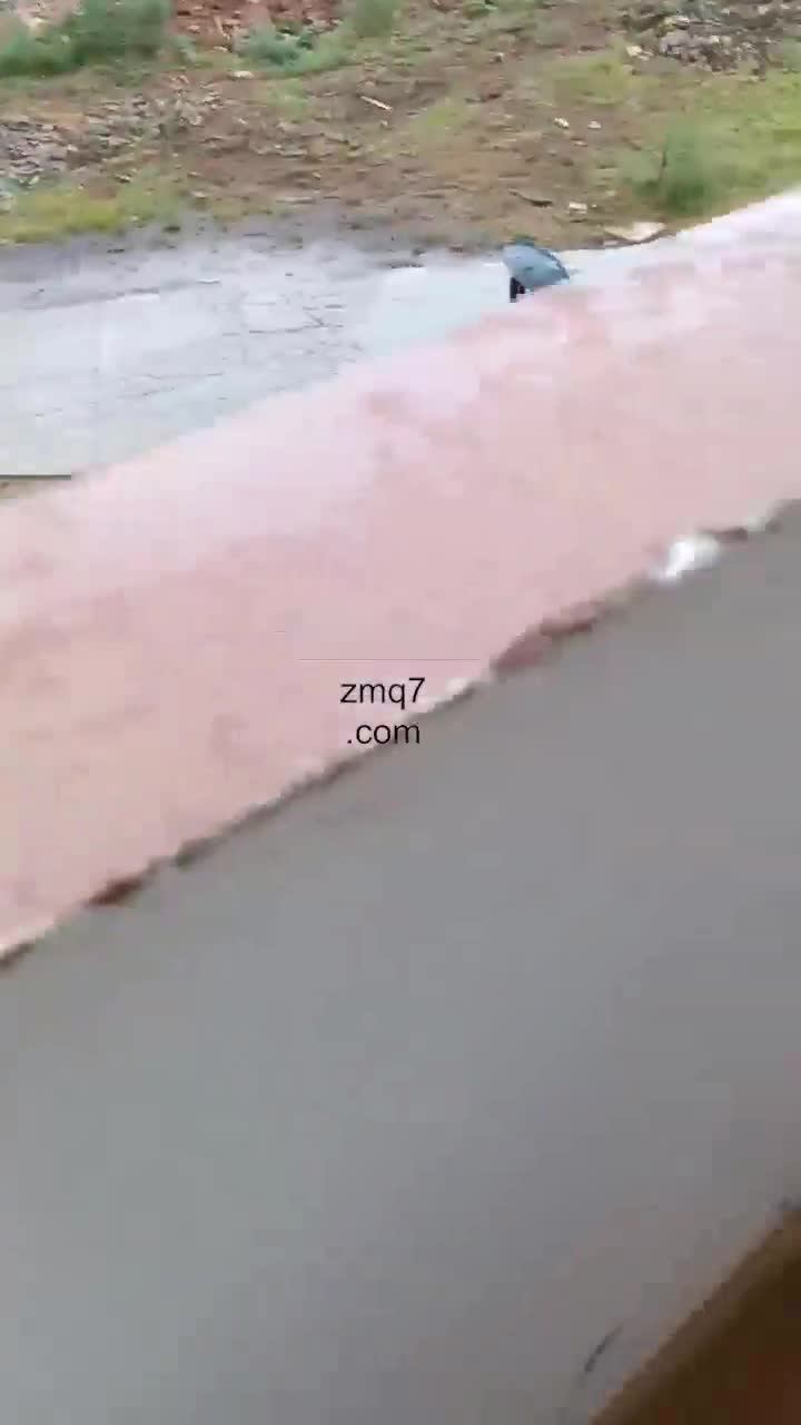 爱可呀 双主玩母猪