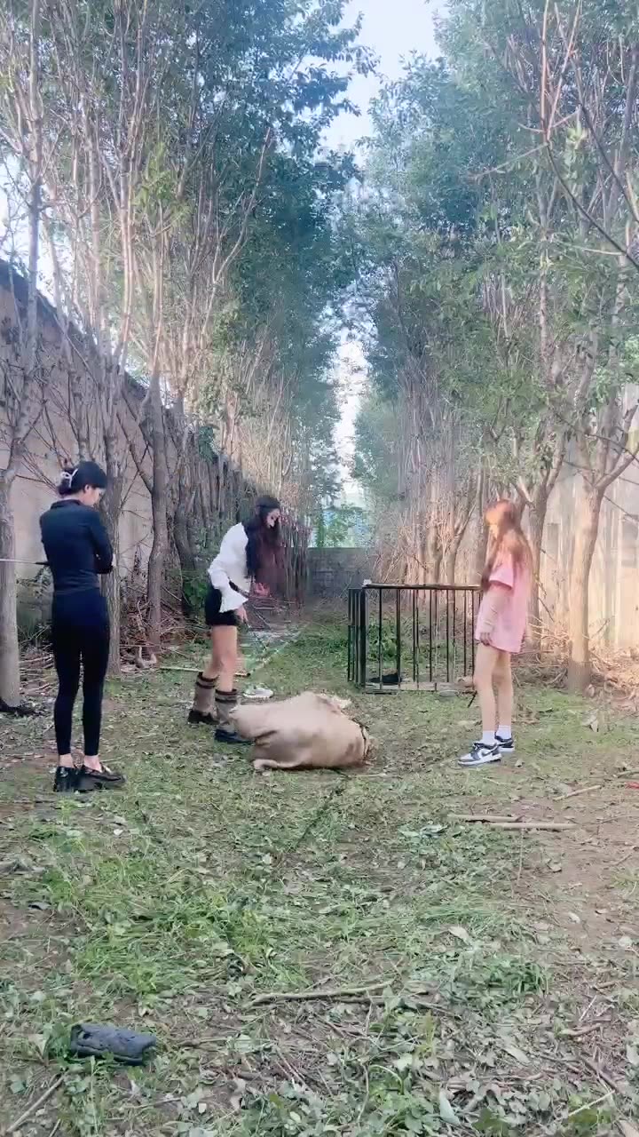 沅芷 贱货被装在麻袋暴揍 当场退圈