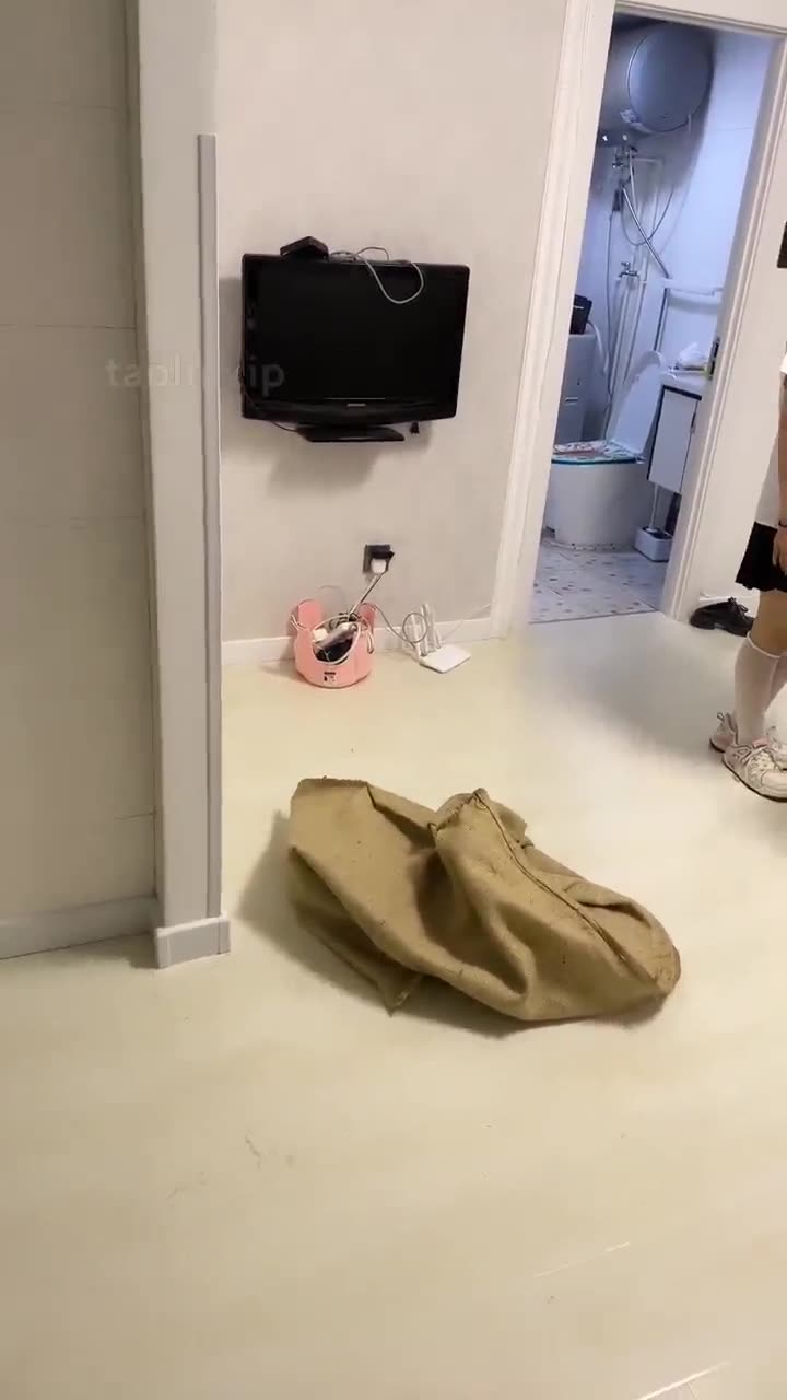 精神小妹 校园欺凌