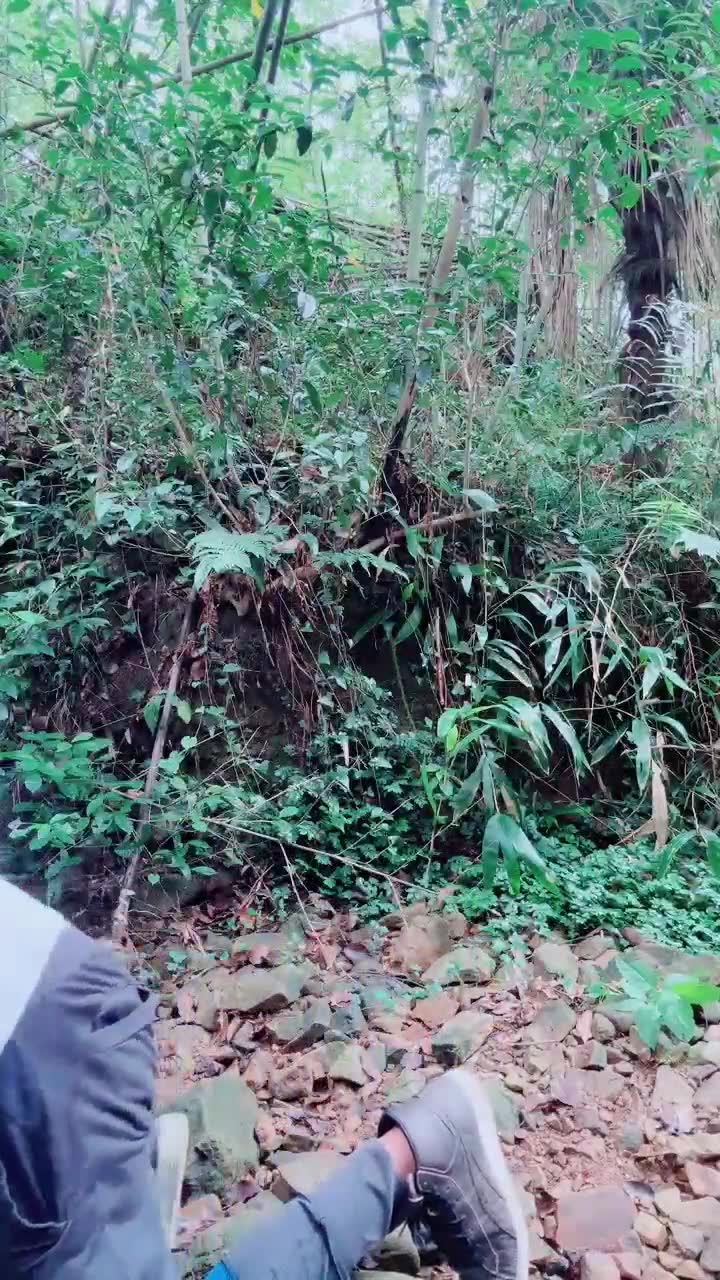 陈莹斯 调教网约车司机