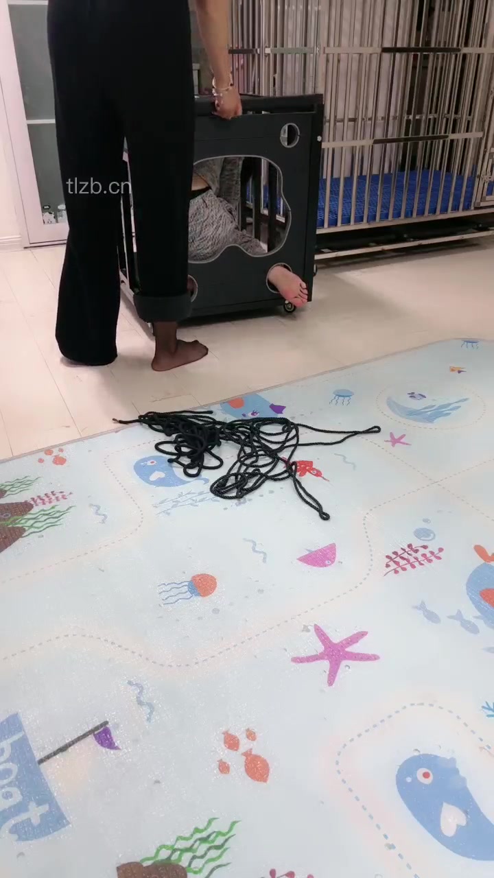 狠欣人 再磕十个