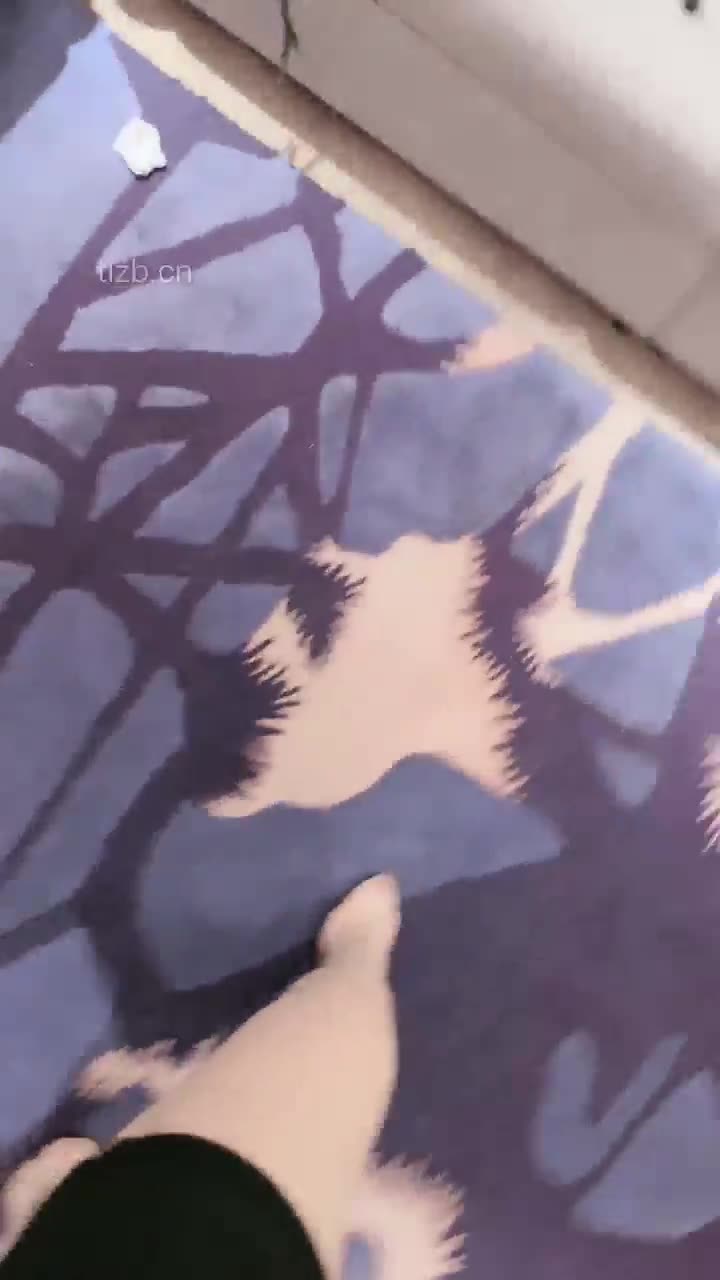 月影儿 重度踩踏老狗