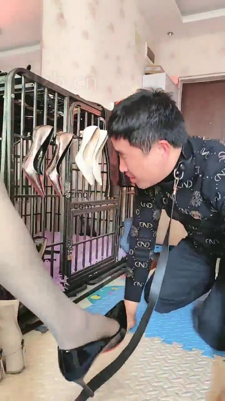 刘二狗 沦为金融白领的家奴