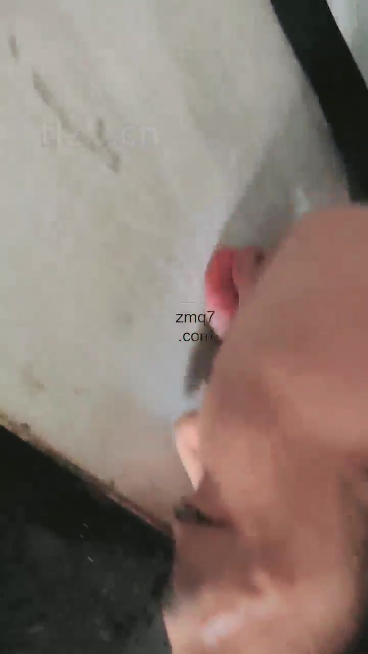 刘二狗 沦为金融白领的家奴