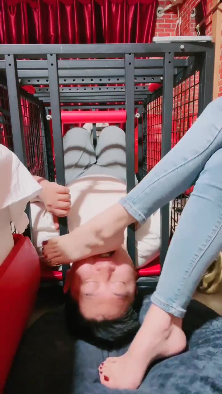 兔兔大人 圈养狗