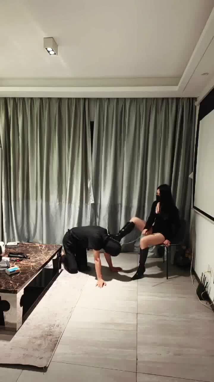 梵高 强制鞭打狗奴