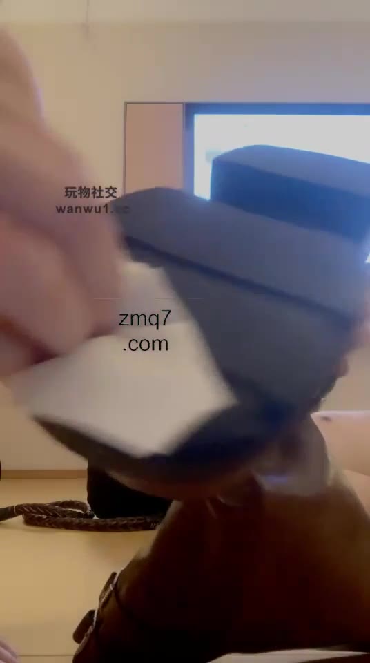 香芋朱朱 玩一玩狗