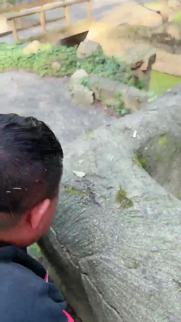 妮可 室外调教 逃跑的下场