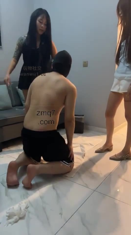 白鹭 两素人首调