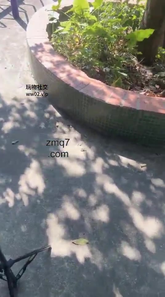 香芋朱朱 户外调教 刺激 路人经过