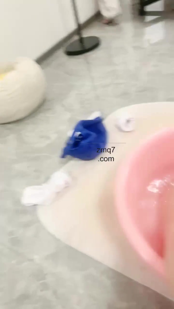 小甜泡泡 调教的进来