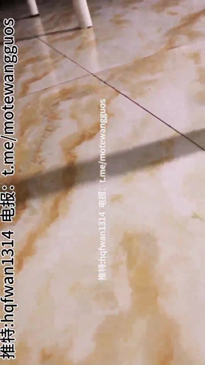 Models 多位女王群调两骚母狗 轮流赏圣水 强灌