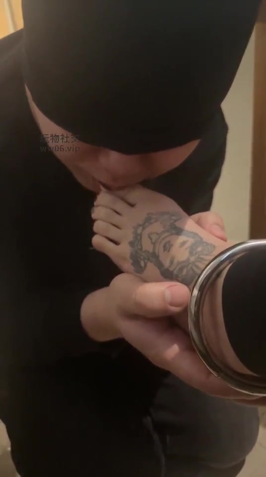 招财宝宝 调狗全过程