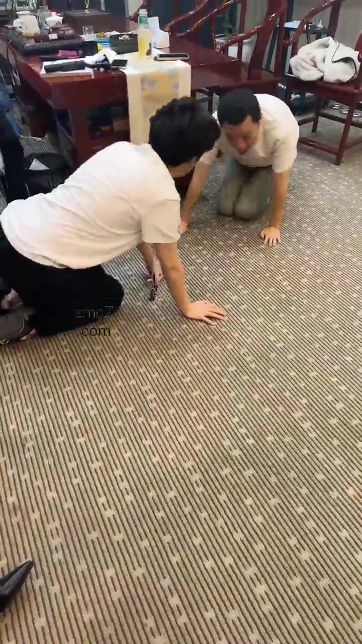 伊晨 公司招聘 下集