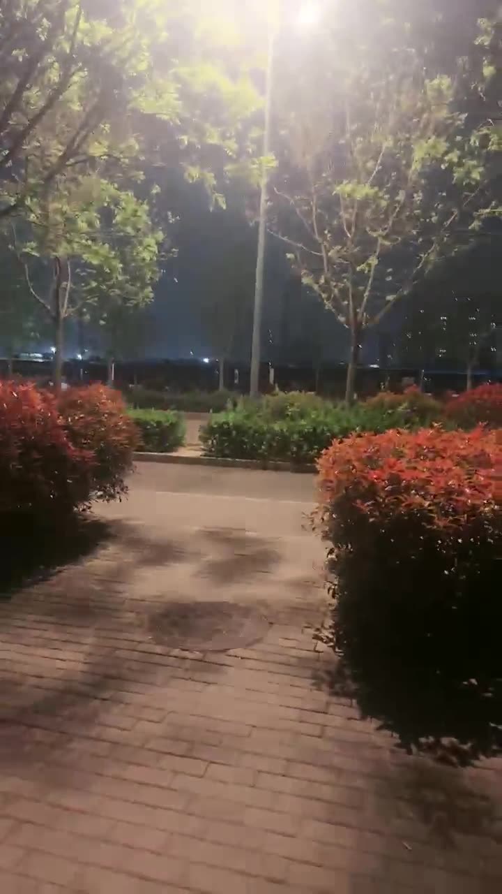 esse殿下 户外调教贱狗