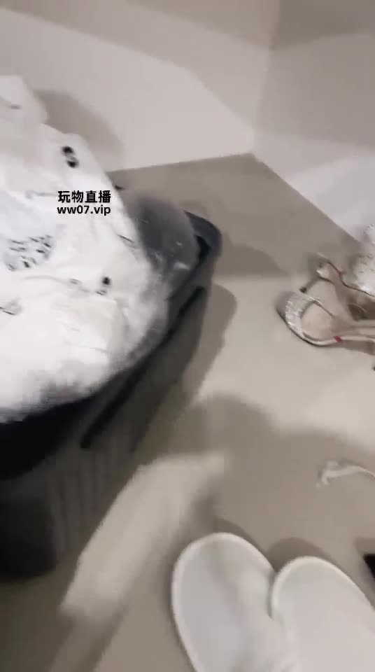 希娜 深夜调教贱畜