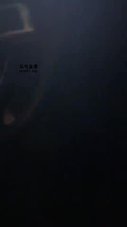 素人挖机 超极品