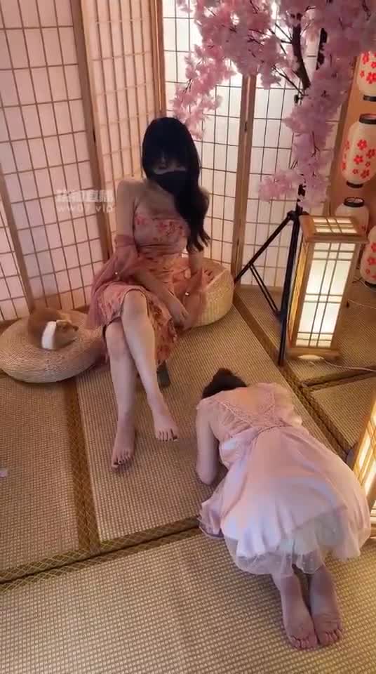 伊晨 剧情 丫鬟变母狗