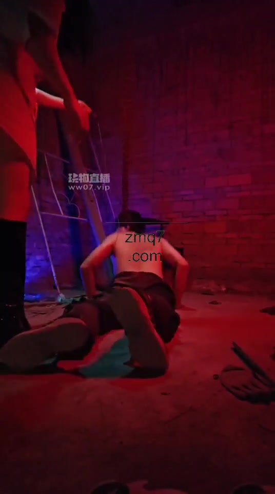 刑部尚书 园区式爆虐