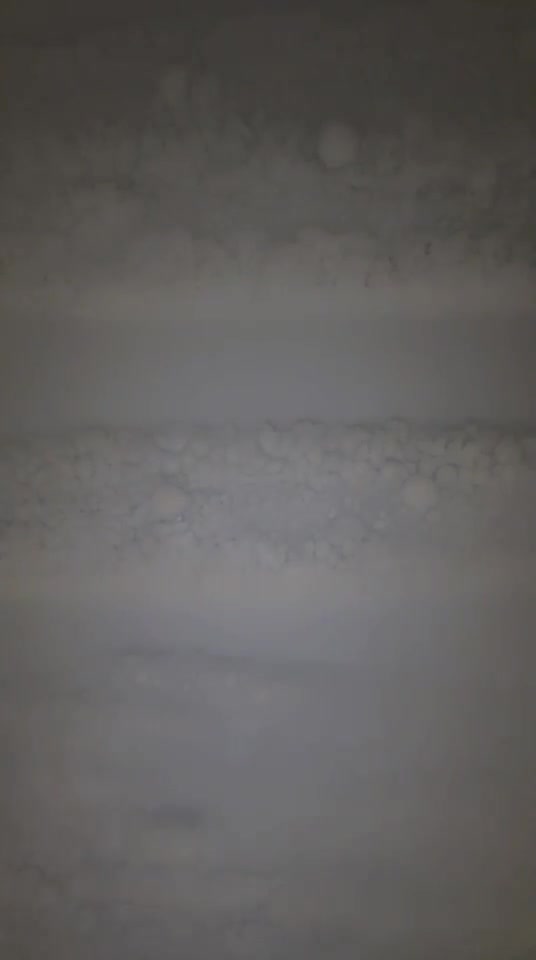 茜茜子 双S JK主 黑丝皮鞋踩骑马转胯抽耳光坐脸窒息