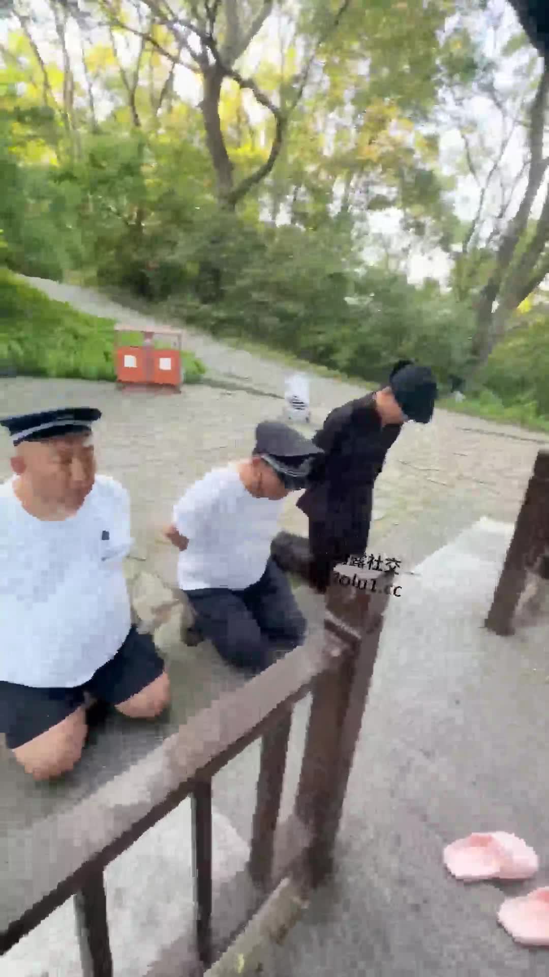 猪猪 奴隶庄园