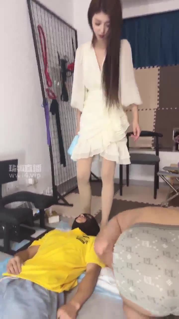 星航 双狗抢食黄金