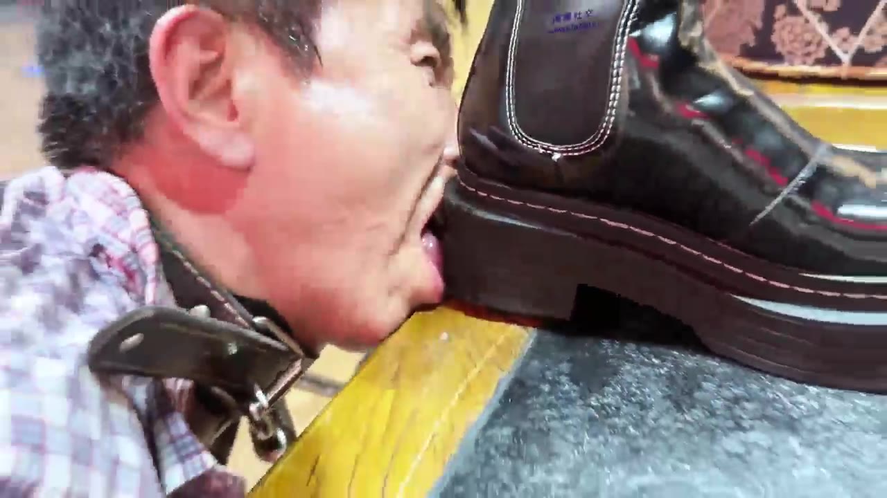 冷月大大 群调奴隶