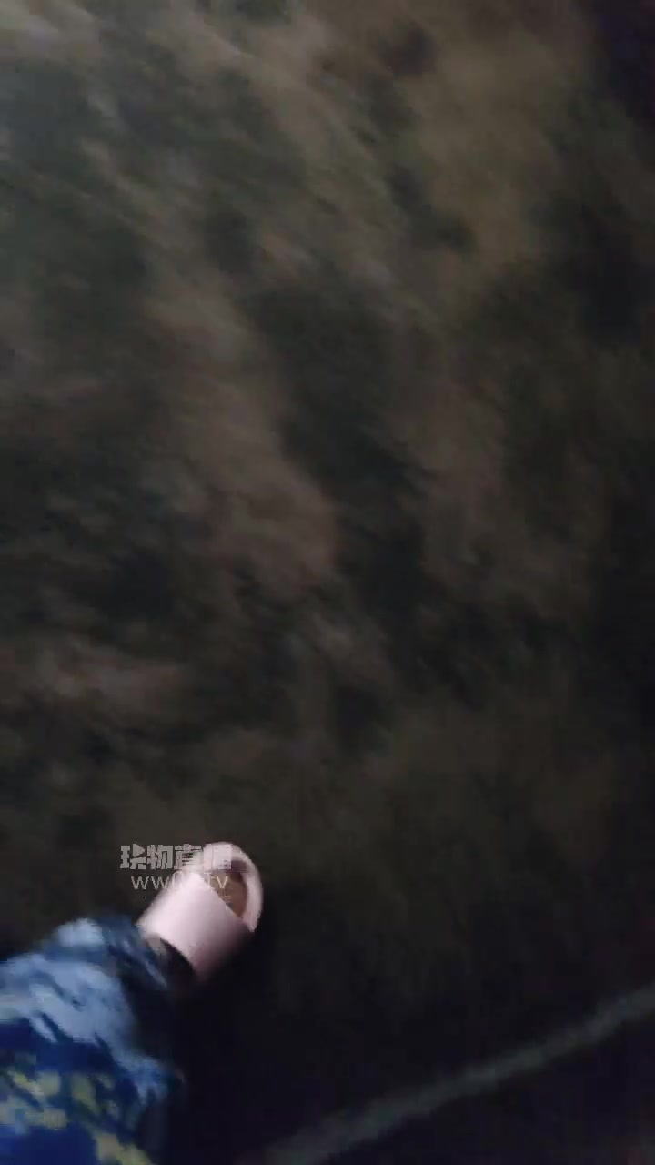 是樱樱呀 户外调教母狗耳光舔脚