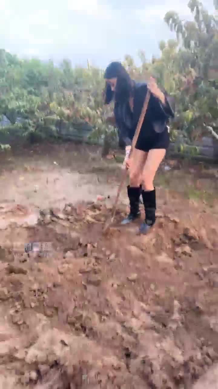 苏御大人 剧情 活埋小广