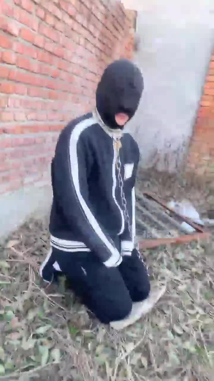 77夫妻 继续狗舍不当人虐圈养狗